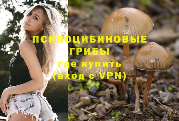 каннабис Алексин