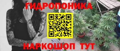 соль ск Тара