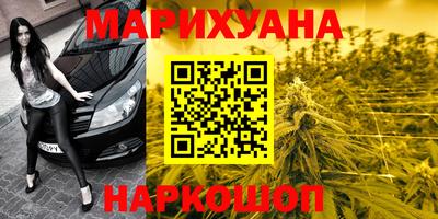 крисы Тверь