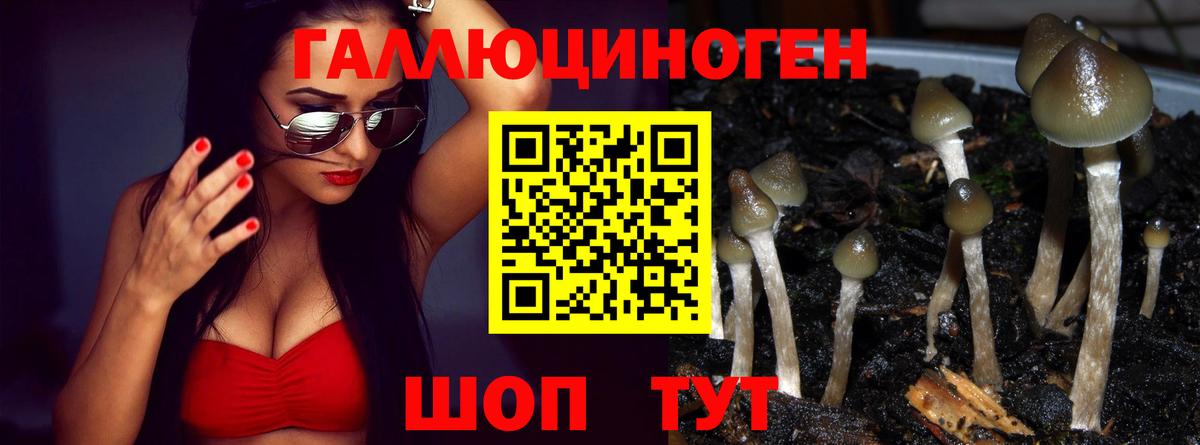 Уварово  Псилоцибиновые грибы ЛСД  купить   Вход с VPN 